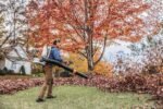 STIHL Magnum BR 800 X 239 mph 912 CFM Gas Backpack Leaf Blower - Image 3
